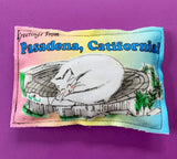 Crinkle Postcard Cat Toys