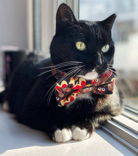 Turkey Print Bow Tie for Cats- Thanksgiving Bow Tie