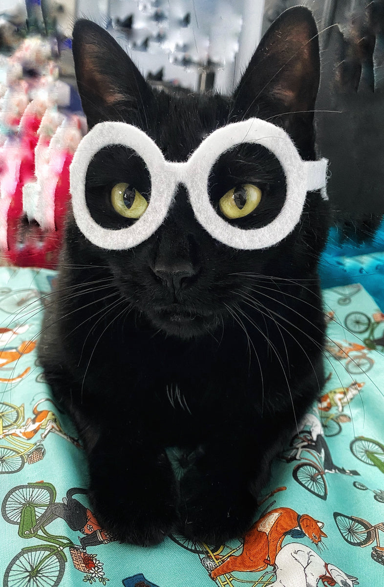 IMG_7925_1200x1200.jpg?v=