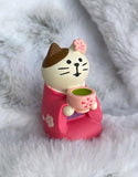 Pink Green tea Cat Decole Concombre