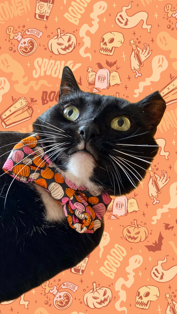 Pumpkin Bow Tie Cat Collar