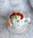 Tea Cat Decole Concombre