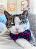Black Red Heart Print Bow Tie Cat Collar