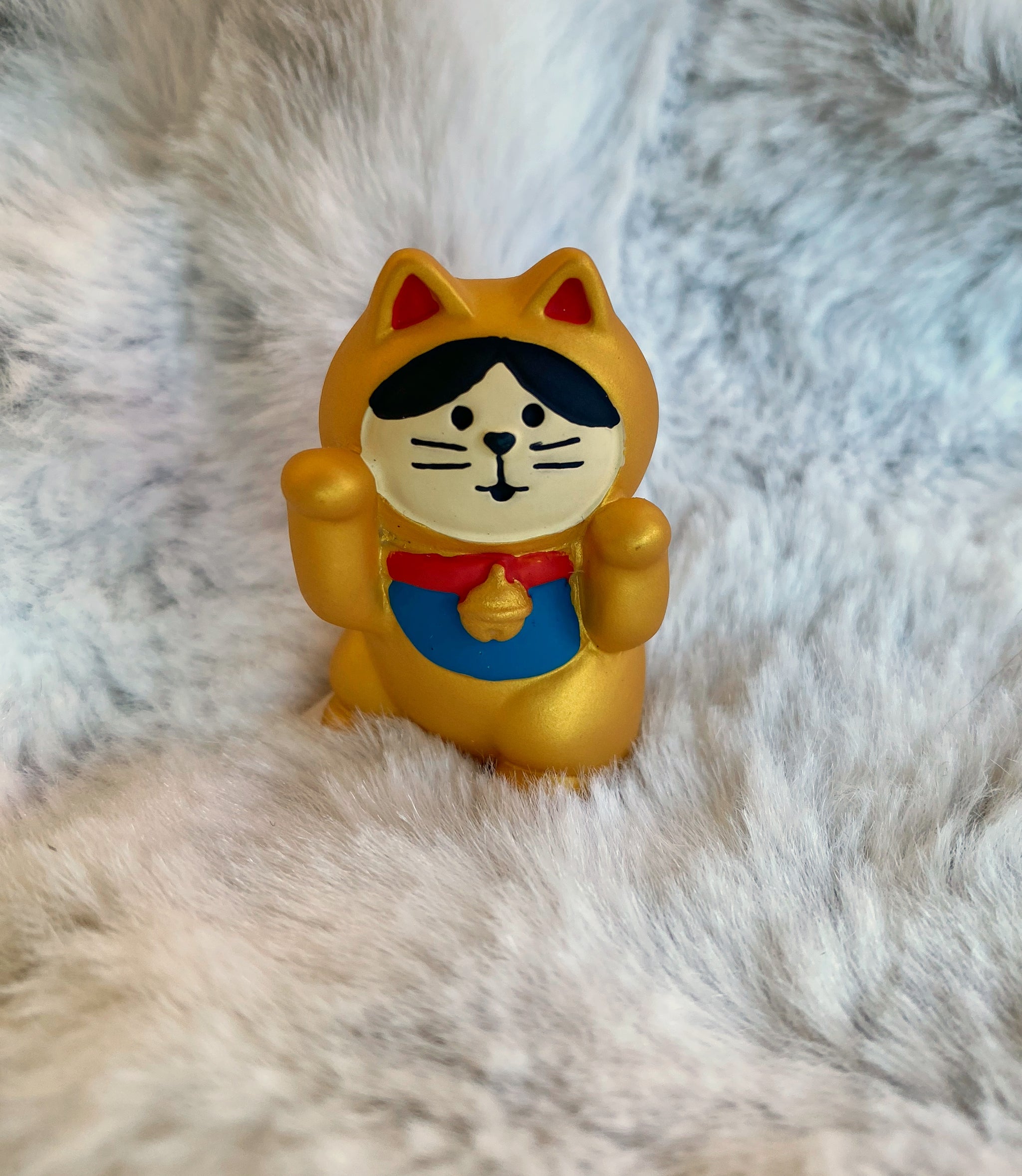 Decole Concombre – Notso Kitty