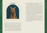 Cat Gods, Goddesses, Deities, and Demons by Natalie Bovis