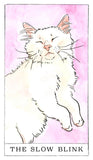 Kitten Oracle by Megan Lynn Kott