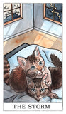Kitten Oracle by Megan Lynn Kott