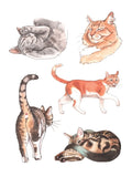 Cat’s Meow Sticker Book
