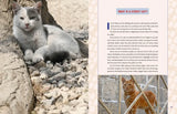 Street Cats and Where to Find Them by Jeff Bogle