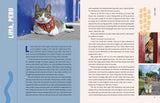 Street Cats and Where to Find Them by Jeff Bogle