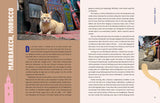 Street Cats and Where to Find Them by Jeff Bogle