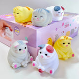 Soft Kitten Blind Box