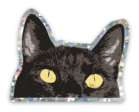 Cat peek 2” glitter Sticker – Notso Kitty
