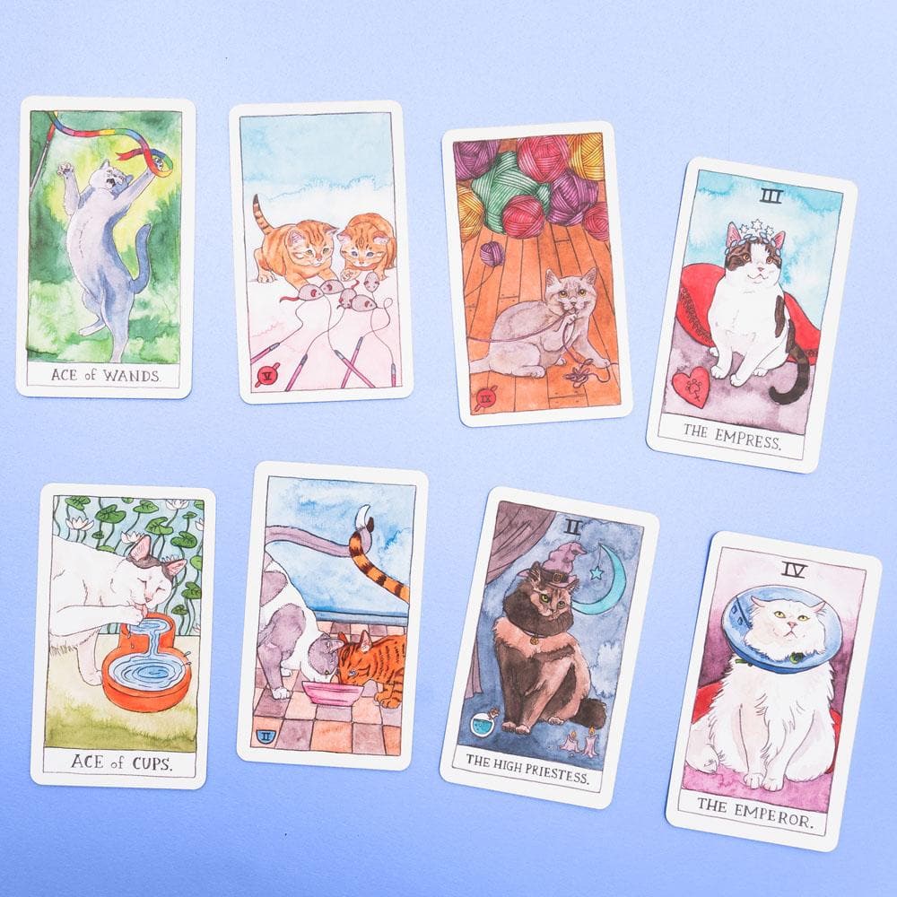 Cat Tarot by Megan Lynn Kott – Notso Kitty