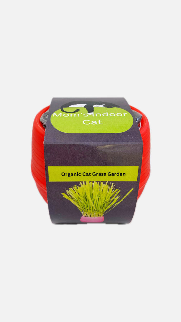 Cat Grass Grow Kit