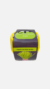 Cat Grass Grow Kit