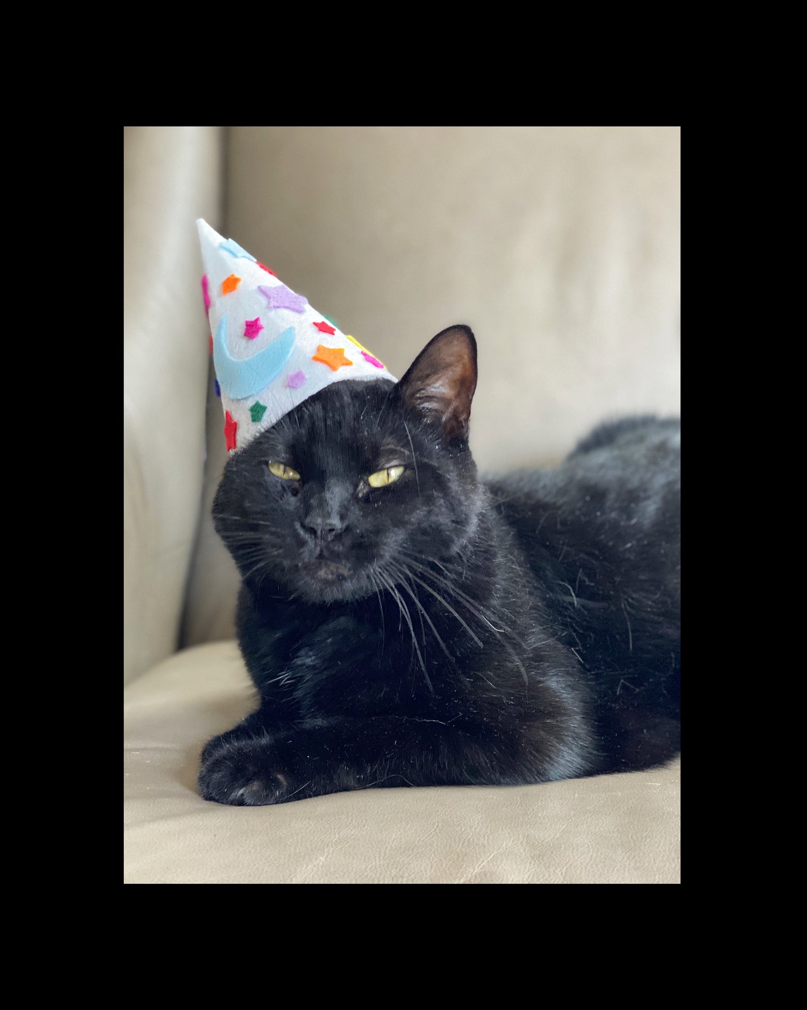 Wizard Cat Hat – Notso Kitty
