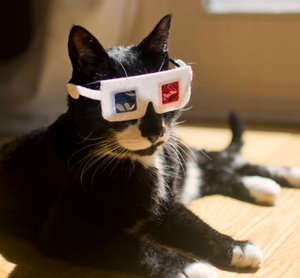 3D Glasses for Cats