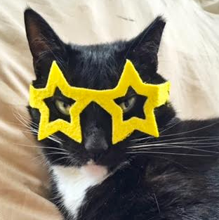 Star Glasses for Cats