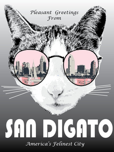 San Diego Cat Postcard