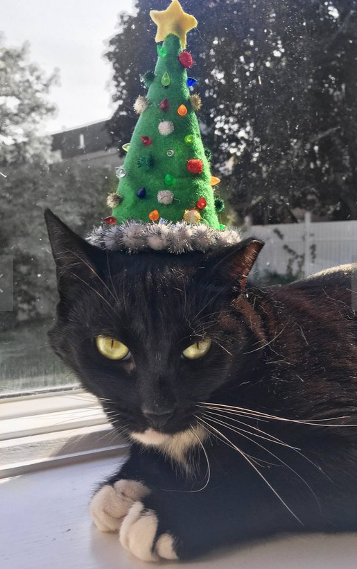 Christmas Tree Cat Hat