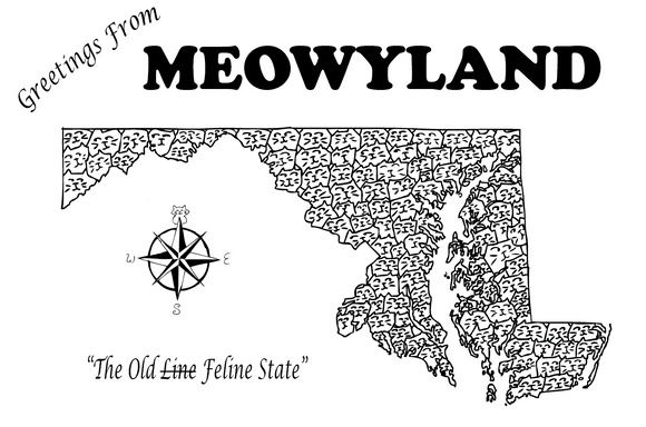 Meowyland Postcard