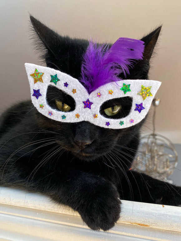 Mardi Gras mask for Cats